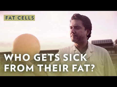 Who is getting sick from their fat cells? | Knut and Alice Wallenberg ...