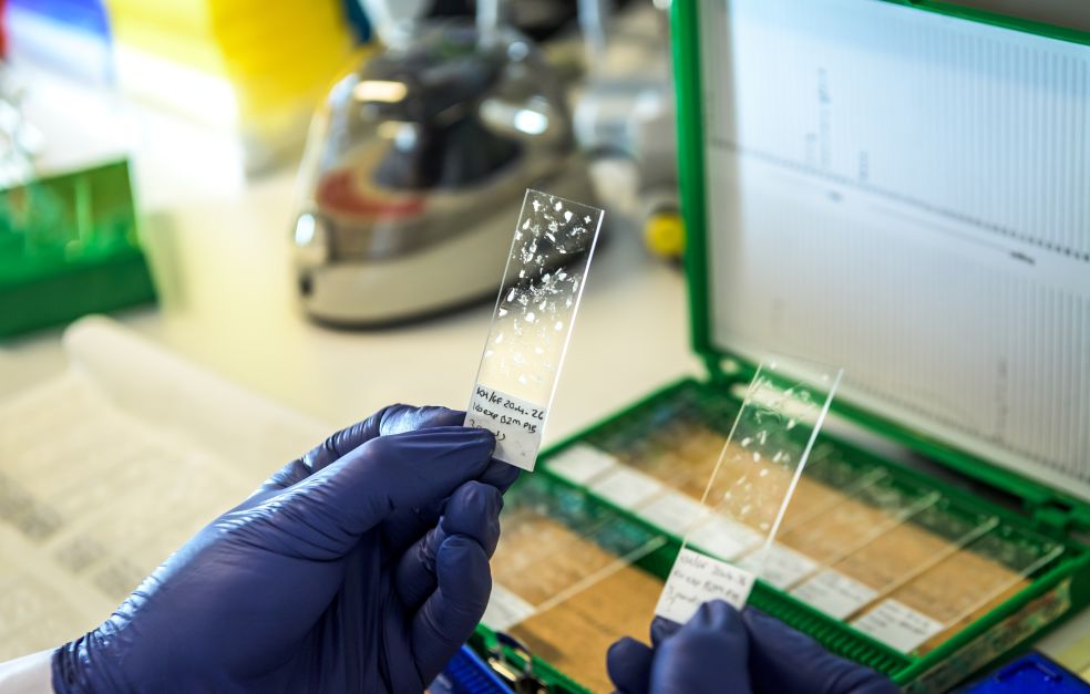 Två handskar i blått håller laboratorierutor framför en analysmaskin i ett labb.