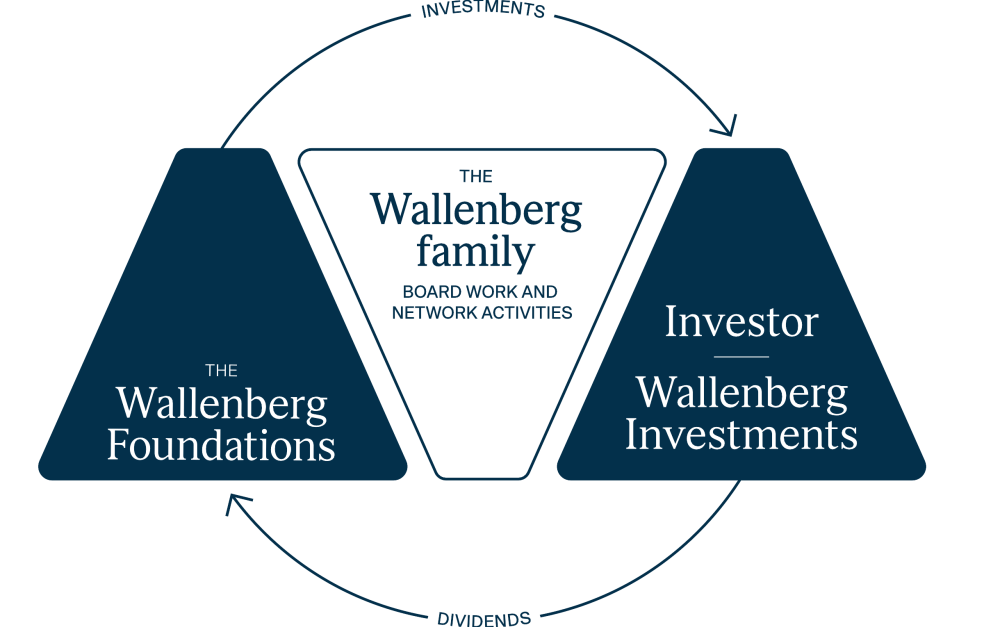 Illustration of the Wallenberg Ecosystem