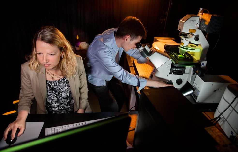 Controlling the decisions of stem cells | Knut and Alice