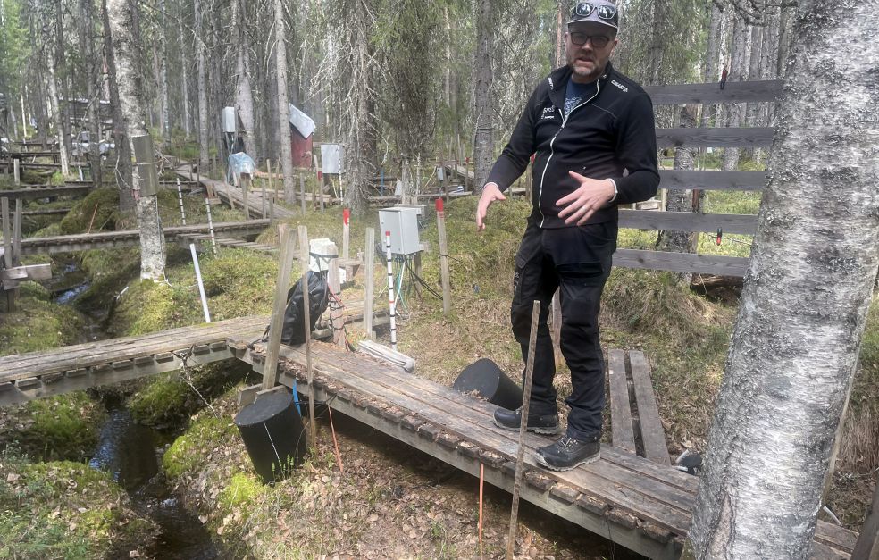 Framtidens brukande och bevarande av svensk skog | Knut och Alice ...