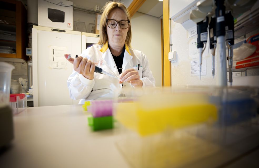 Forskare i labbrock använder en pipett med olika färgade provrör på bordet.
