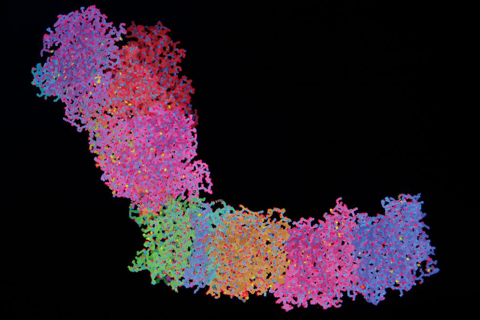 Färgglad molekylstruktur på svart bakgrund, visualisering av biomolekyler.