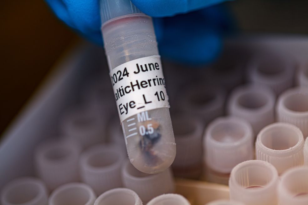 Rör med prov i hand, omgiven av flera små provrör.