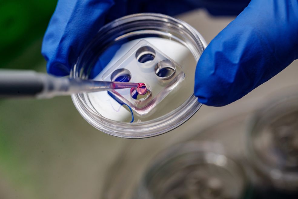 En hand i blå handsk vidtar försiktiga åtgärder med en petpipett i en skål.