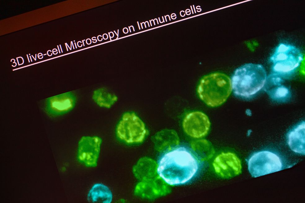 Färgglada immunceller sett med 3D live-cell mikroskopi.