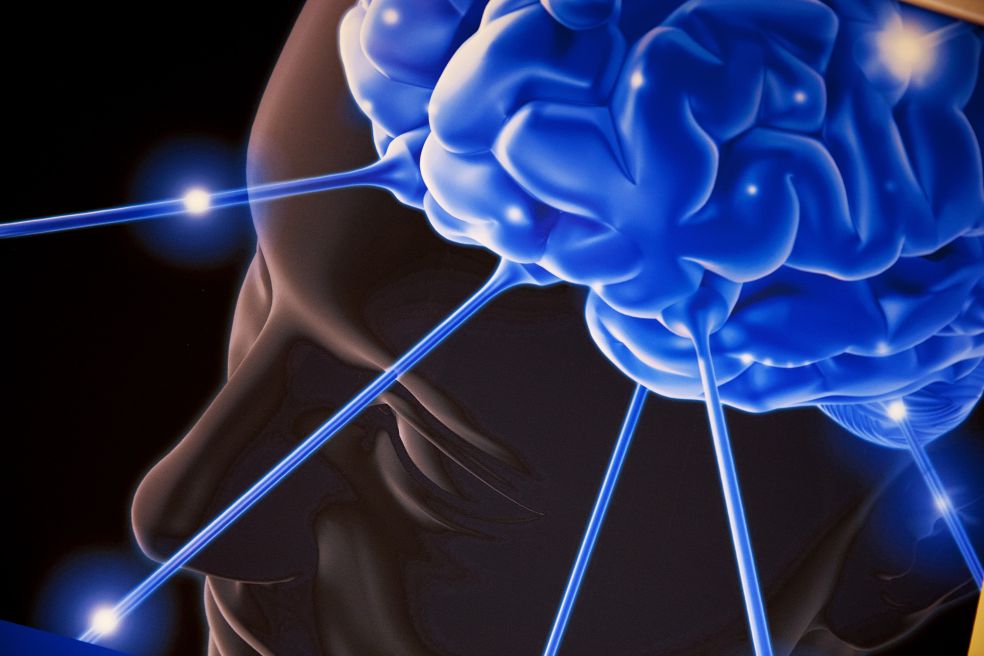 Brain Power Against Dementia Als And Parkinson S Knut And Alice