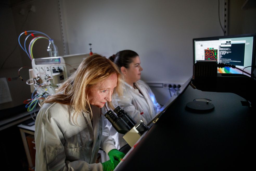 Vuole capire cosa separa ciò che è innocuo da ciò che mette in pericolo la vita