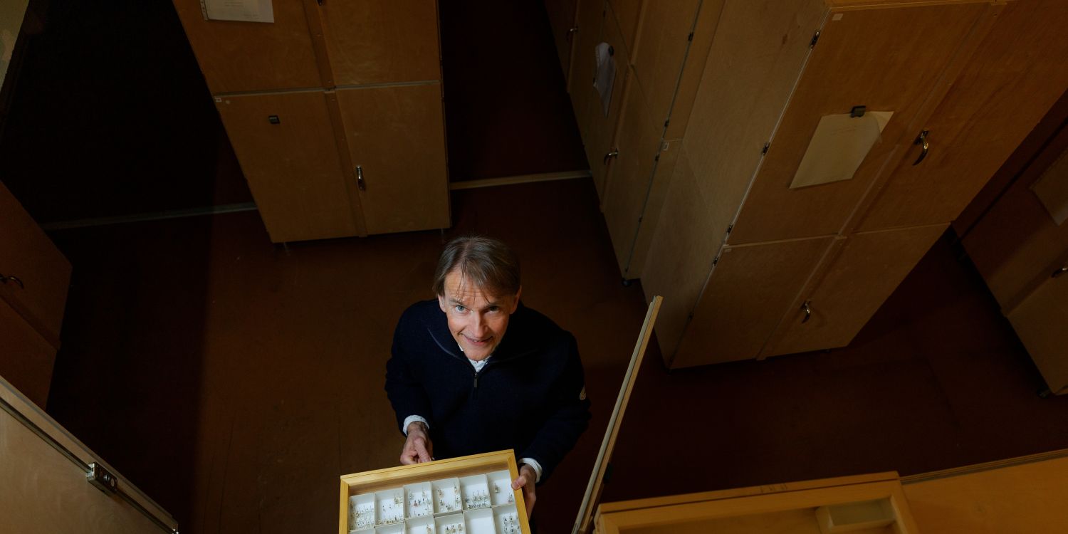 En person står framför sådana lådor och håller en låda med små fack.