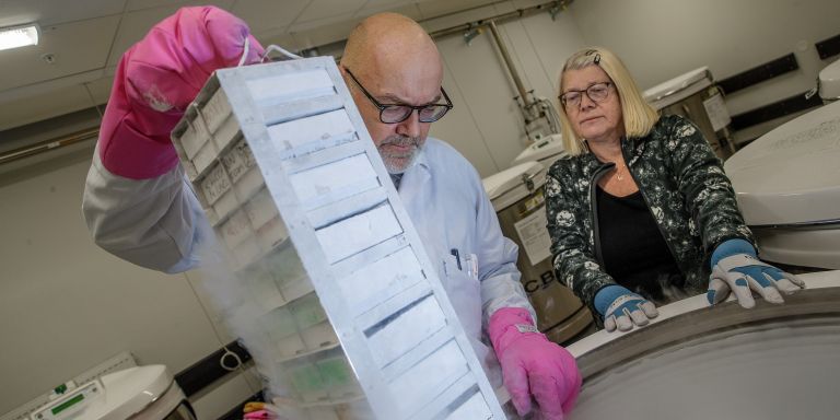 Två personer, en man och en kvinna, arbetar med frysfack i ett laboratorium.