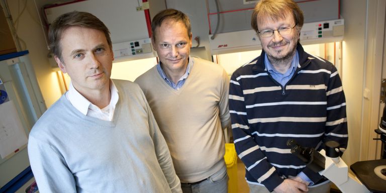 Sören Lehman, Karl Ekwall och Rolf Ohlsson