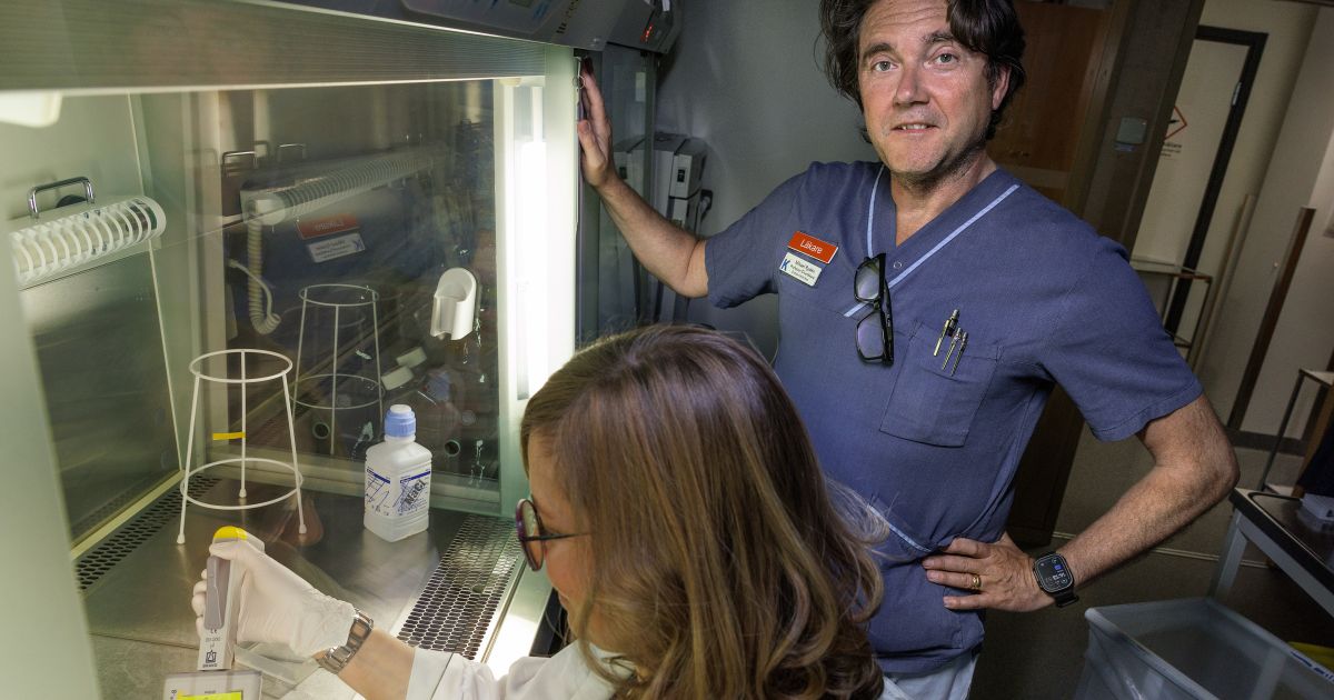 Knut Fat Fat cells determining choice of medication | Knut and Alice Wallenberg ...