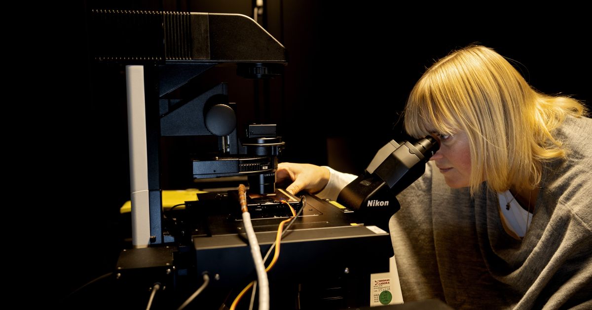 Revealing the secrets behind cell-cell communication | Knut and Alice ...