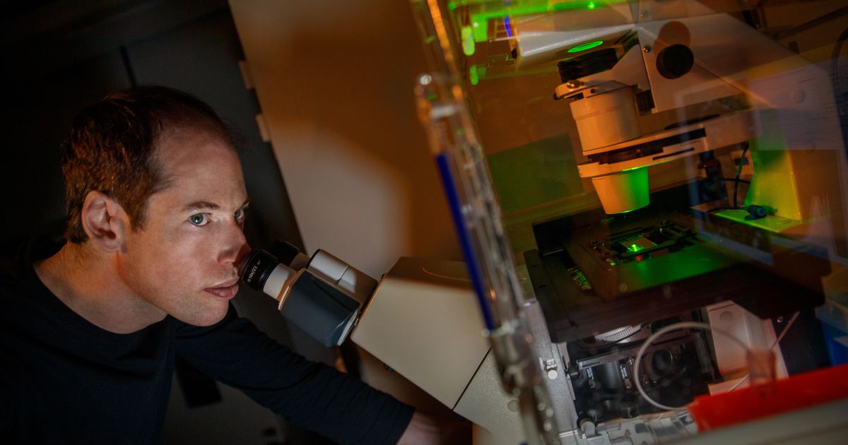 Knut Body How viruses enter the body’s cells | Knut and Alice Wallenberg Foundation