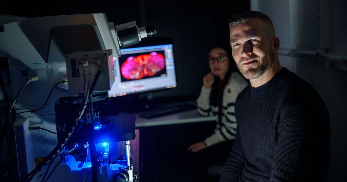 Knut Body New discoveries on how muscle-to-brain sensory feedback controls body ...