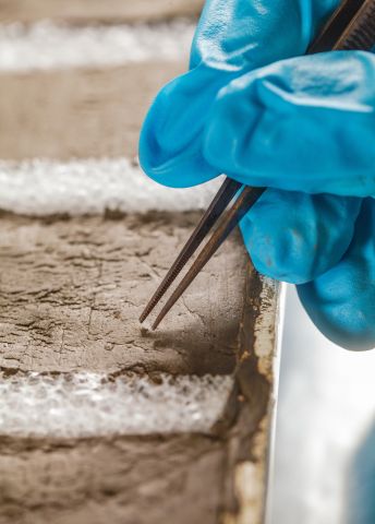 Blå handskar använder pincett för att justera ett mjukt, grått material.