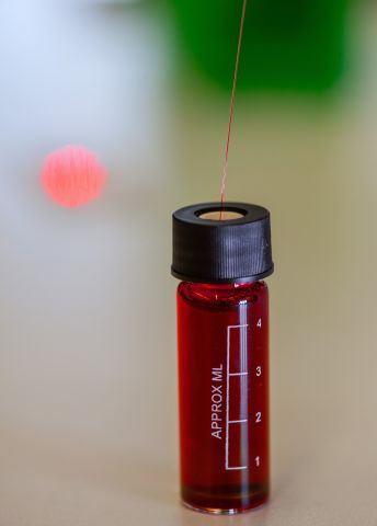 Prov-Laurell-T.jpg