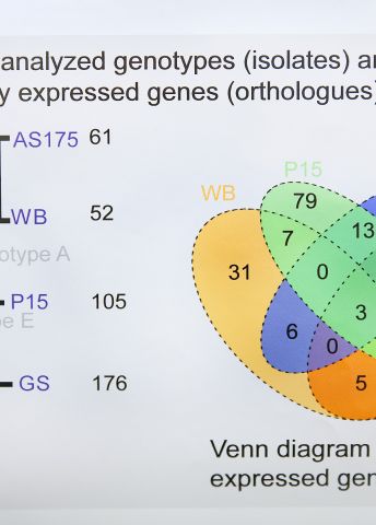 diagram-andersson-b-m.jpg