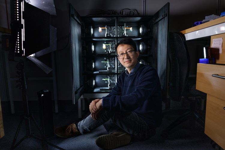 Tre glasflaskor med olika färgad vätska; gul, grönblå och blå.