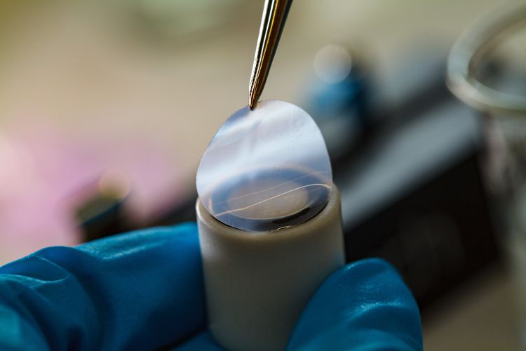 En hand i blå handske håller en tunn plastfilm över en glasskiva.