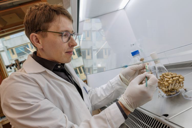 En forskare i labbrock arbetar med provrör och pipetter i ett laboratorium.