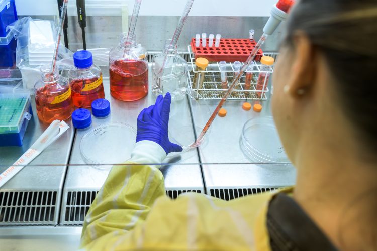 Laboratoriemedarbejdare i skyddskläder arbetar med provrör och kemikalier.