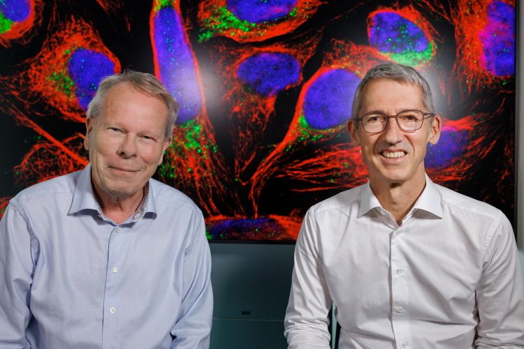 Mathias Uhlén och Jan Ellenberg framför en färgglad, mikroskopbild av celler.