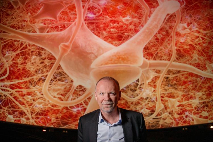ynnerman-neuron.jpg