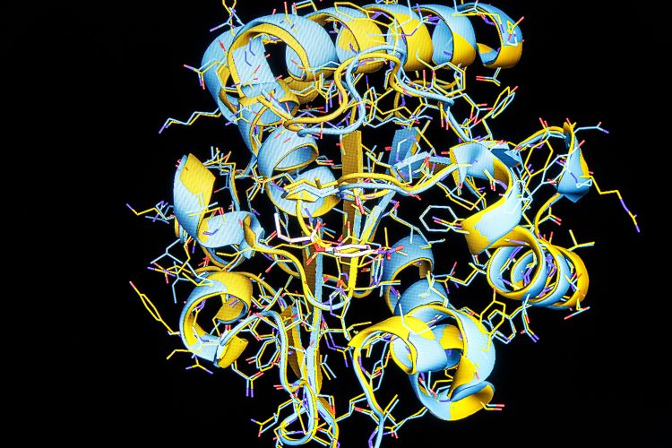 molekyl2-aqvist-n.jpg