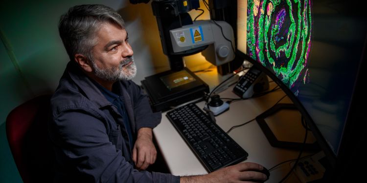 Man vid dator som analyserar färgglada mikroskopbilder.