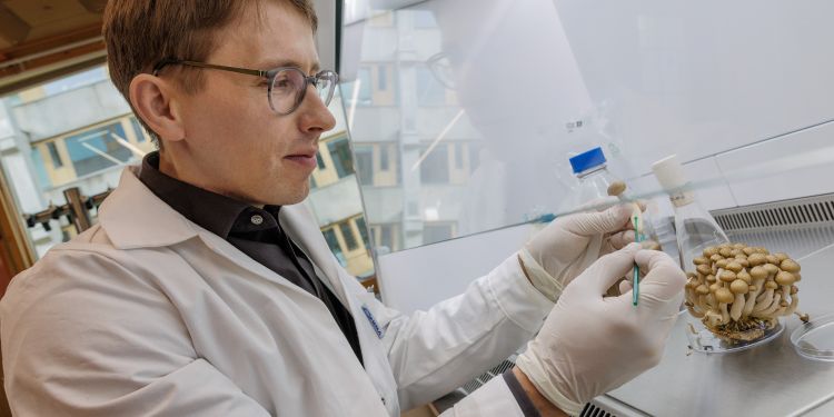 En forskare i labbrock arbetar med provrör och pipetter i ett laboratorium.