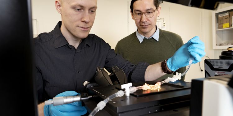 Två män i labbrockar arbetar med ett mikroskop och en pågående experimentuppställning.
