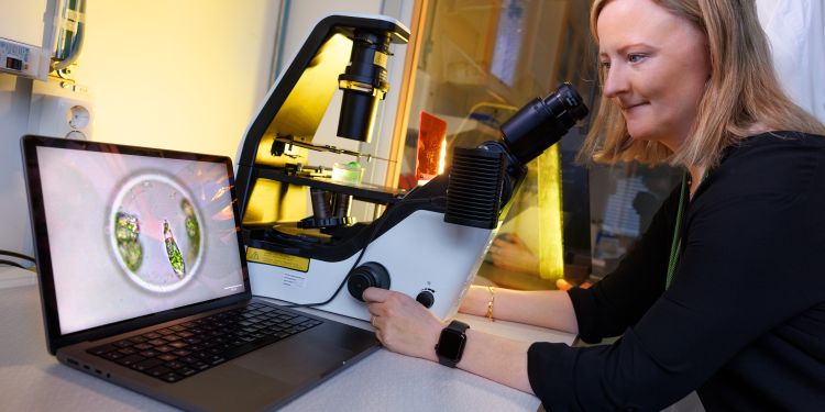 Kvinna i laboratorium som använder mikroskop och dator, leende och fokuserad.