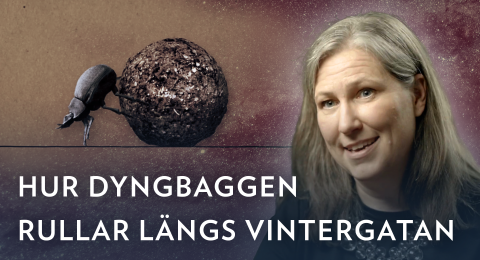 En kvinna pratar framför en bakgrund med en dödlig skalbagge och en boll av kompost.