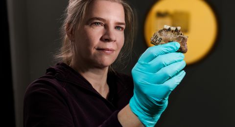 En kvinna med handskar håller upp ett föremål i en dämpad miljö med en gul cirkel i bakgrunden.