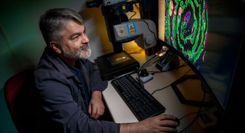 Man vid dator som analyserar färgglada mikroskopbilder.