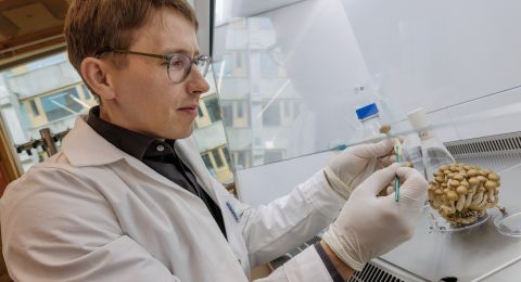 En forskare i labbrock arbetar med provrör och pipetter i ett laboratorium.