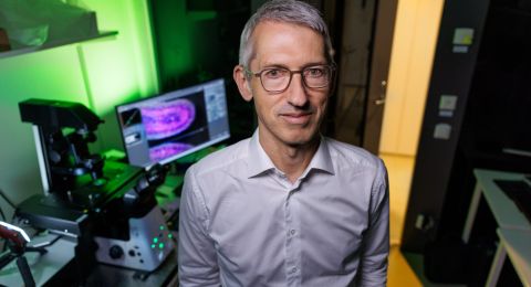 Jan Ellenberg framför mikroskop i ett laboratorium med grönt och gult ljus.