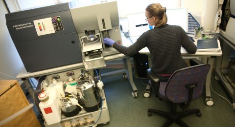 sigvardsson-labb.jpg